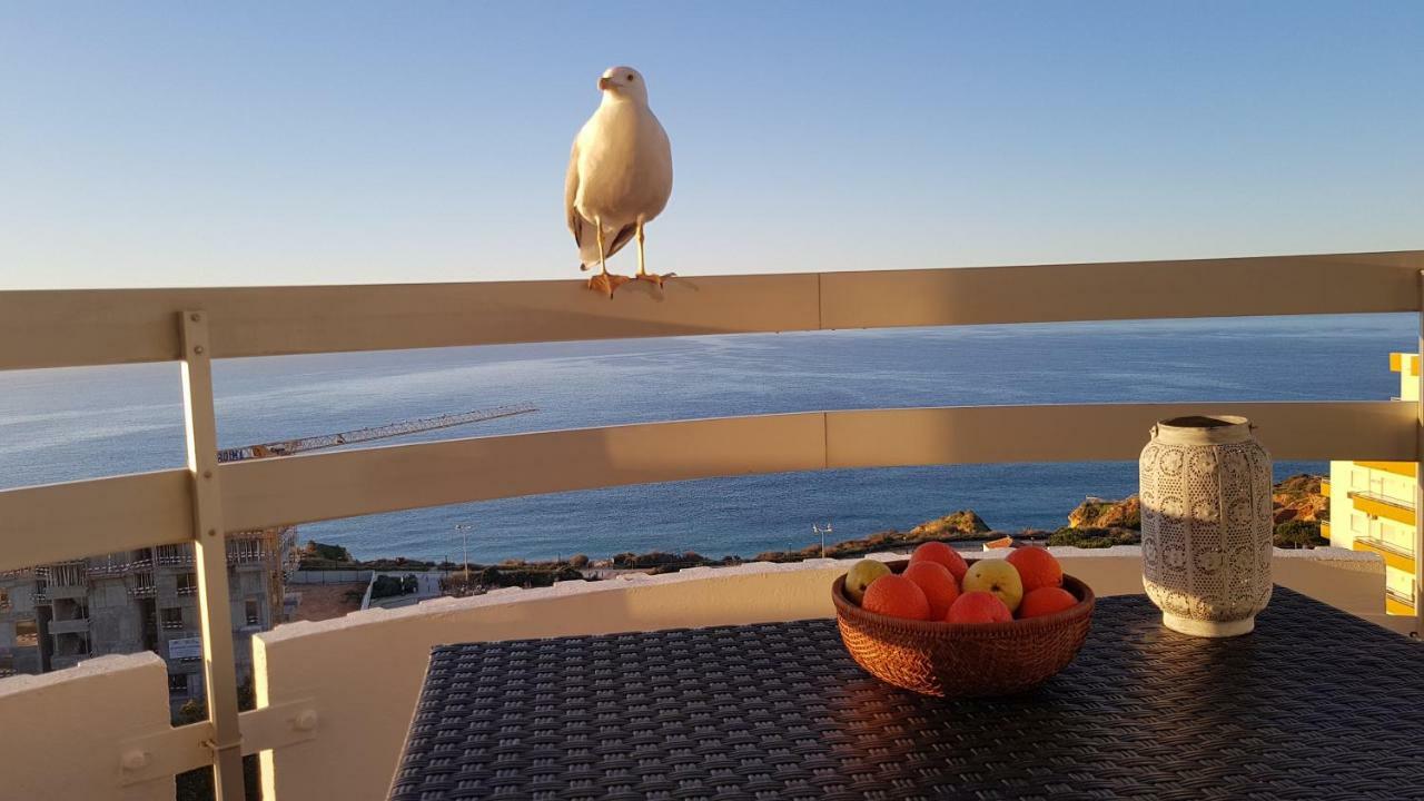 Ma Vue Mer En Algarve Portimão Dış mekan fotoğraf